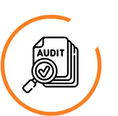 Expert Audit Service