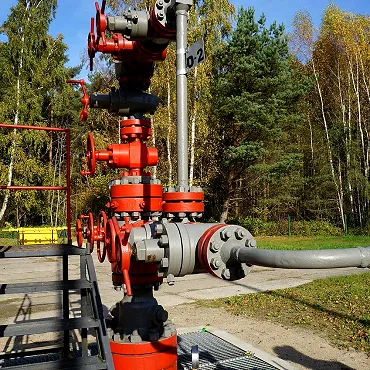 Wellhead and Christmas Tree Equipment — What We Check