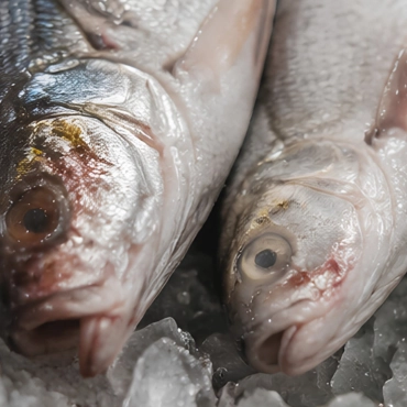 Pesce — Cosa Controlliamo