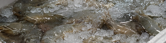 Disidratazione, bruciature da congelamento o cristalli di ghiaccio da sbalzi termici
