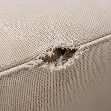 Upholstery — What We Check