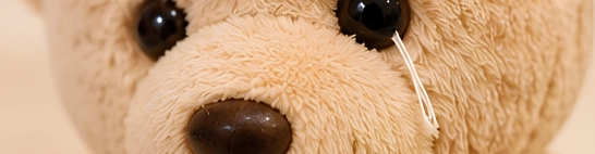 Eyes, noses and accessories that pull off a plush toy