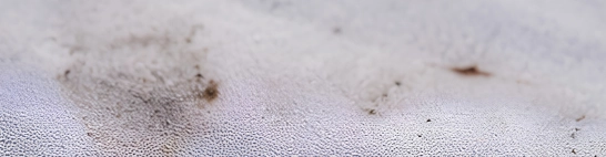 Oil stains, dirt marks and needle holes