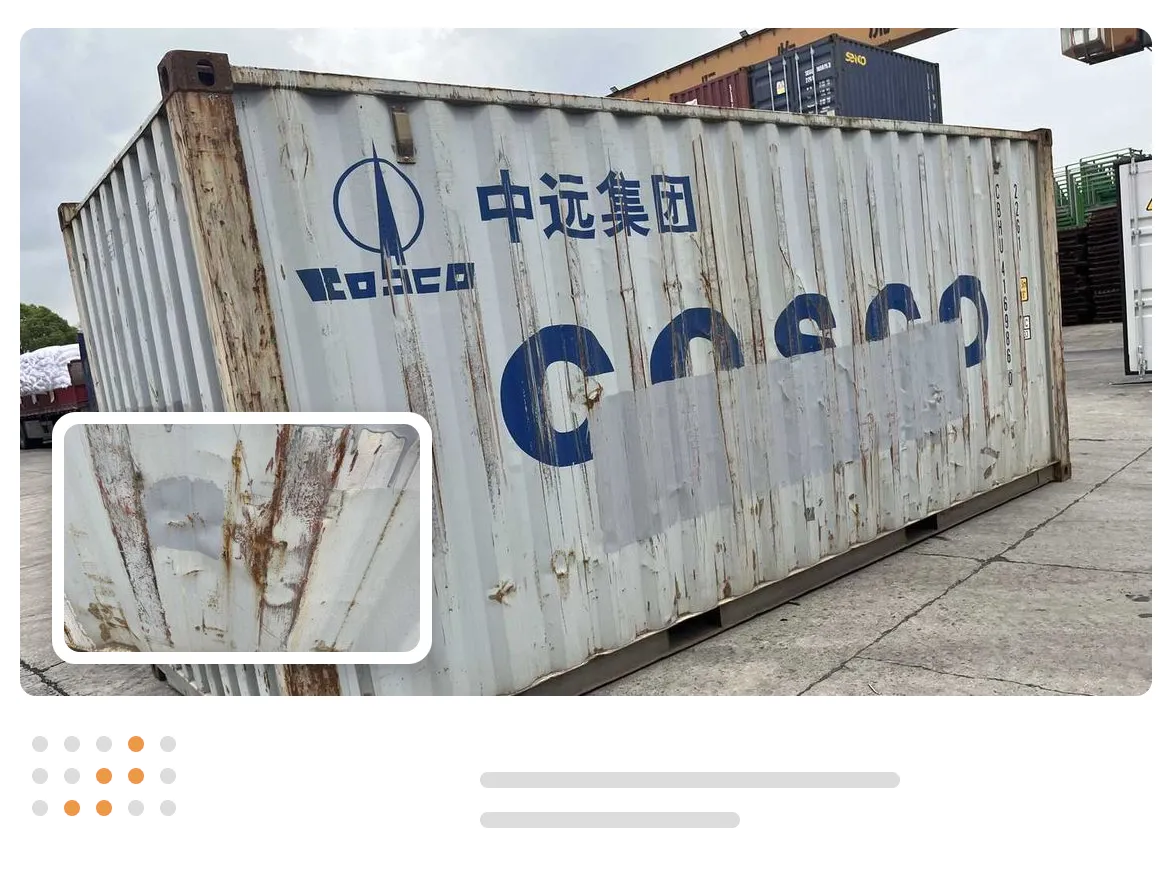 Site and Cargo Condition Record